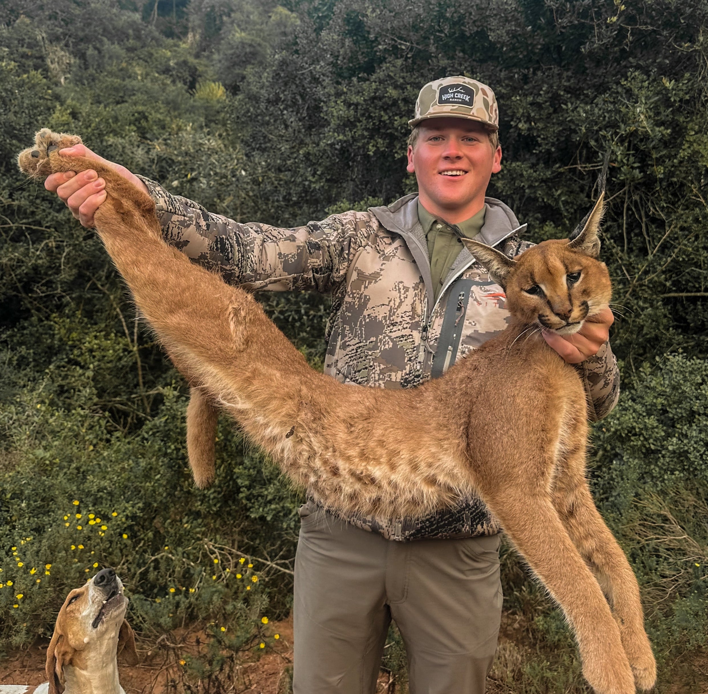 Man holding a caracal cat with a dog in the background, surrounded by greenery.